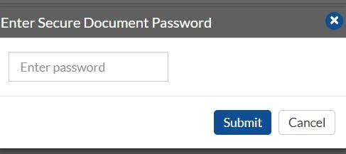 enter-a-secure-document-password